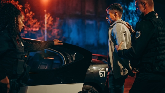 Criminal Arrest